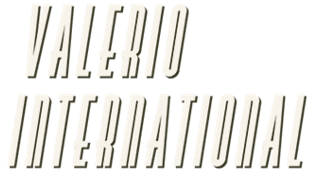 Logo Valerio International